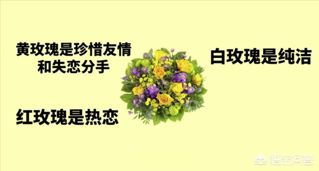 情人节鲜花图片大全_情人节鲜花图片大全花束七夕