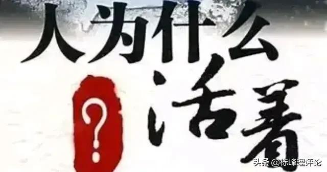 最好的安排电视剧全集_下载电视剧免费大全app