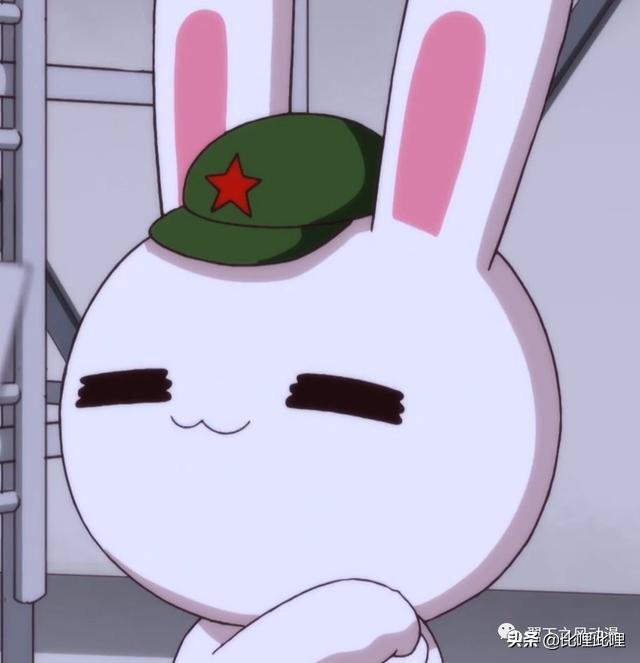 8一9岁儿童动画片免费_7一一9岁的动画片