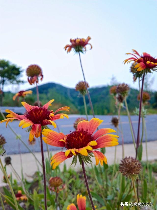 电视剧生活启示录剧情介绍_电视连续剧生活启示录演员表