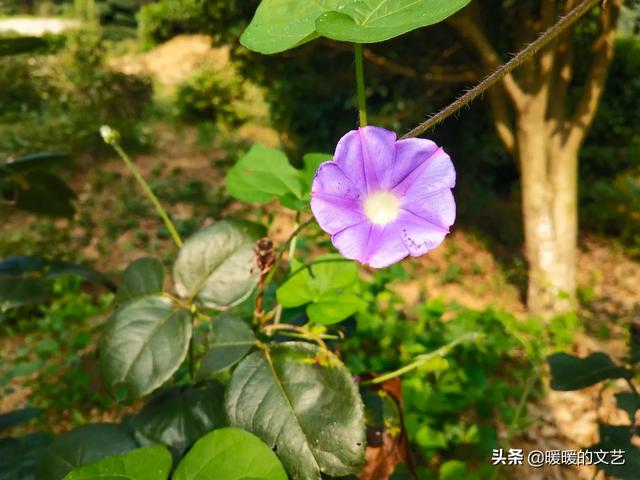 电视剧生活启示录剧情介绍_电视连续剧生活启示录演员表