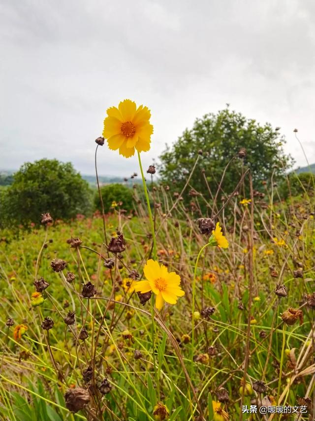 电视剧生活启示录剧情介绍_电视连续剧生活启示录演员表