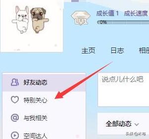 qq特别关心查询(qq特别关心查询入口)