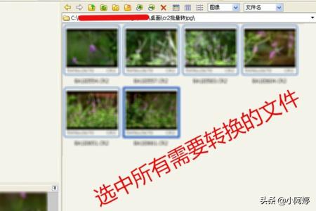 cr2文件怎么转换成jpg（怎样将cr2转换成jpg）