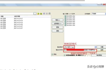 cr2文件怎么转换成jpg（怎样将cr2转换成jpg）