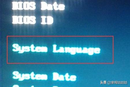 bios怎么设置成中文(bios怎样改成中文)