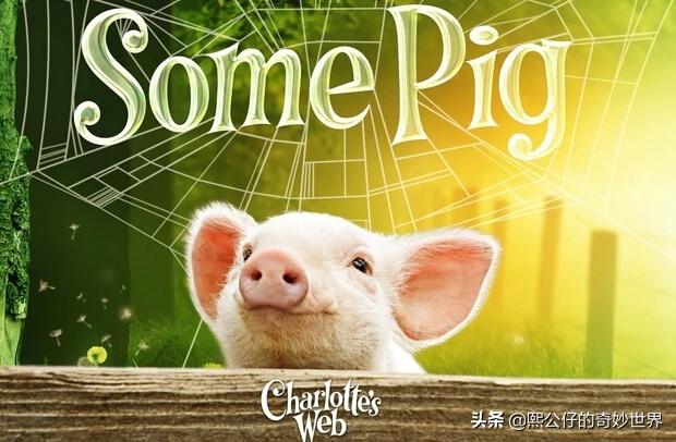 夏洛的网书内容全文(夏洛的网书内容全文1~3章内容全文)