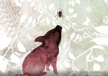 夏洛的网书内容全文(夏洛的网书内容全文1~3章内容全文)