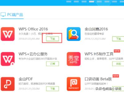 wpsoffice免费下载（wps2002下载免费）